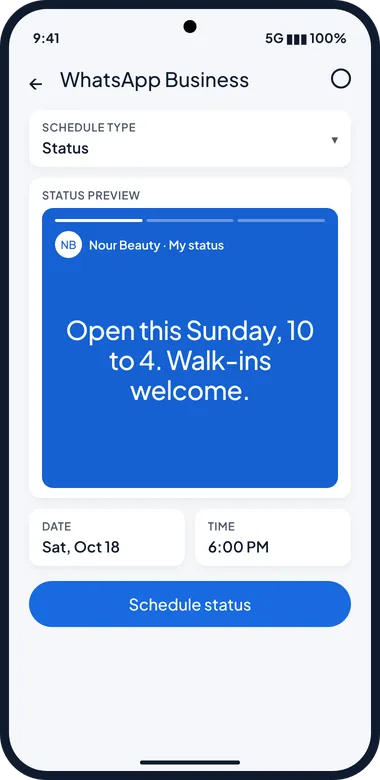 SKEDit Status screen